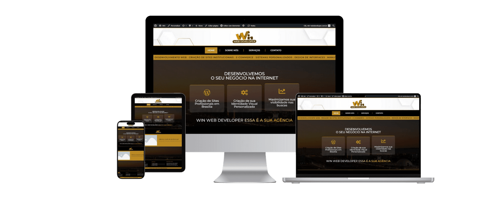 Especialista em criação de sites em Brasília