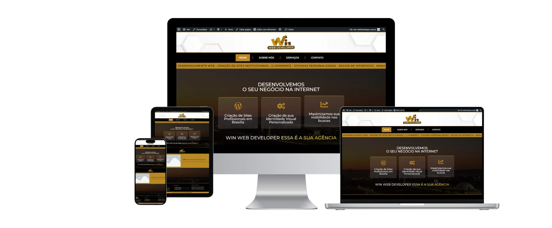 Especialista em criação de sites em Brasília